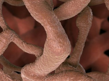 Osteoporotik kemik, sağlıksız kemik yapısı yakın çekim