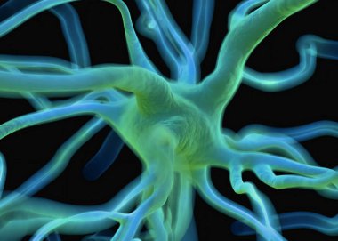 Sinir sisteminin bir kısmını oluşturan nöron veya sinir hücreleri elektriksel ve kimyasal sinyallerle bilgi iletir ve işler..