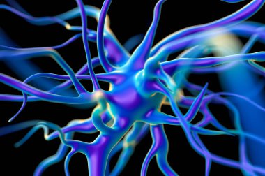 3d Hazırlama - Etkin sinir hücreleri