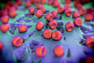 Aconite anter ve polen, bir akonit (Aconitum) çiçeğinden gelen polen tanecikleri. 