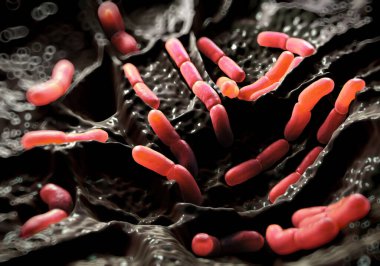 3d illüstrasyon - Lactobacillus Bulgaricus Bakterisi