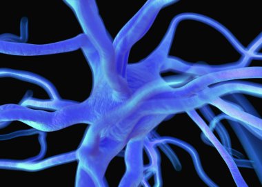 Sinir sisteminin bir kısmını oluşturan nöron veya sinir hücreleri elektriksel ve kimyasal sinyallerle bilgi iletir ve işler..