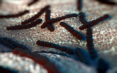 Streptococcus pneumoniae, Gram-pozitif koküs şekilli patojenik bakteridir ve zatürreye ek olarak pnömokok enfeksiyonlarına neden olur. .