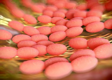 3D görüntüleme - asetobacter bakteri