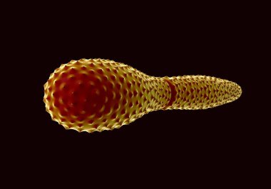 3d illüstrasyon - Pleurotaenium Desmid