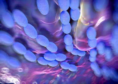 3D görüntüleme - asetobacter bakteri