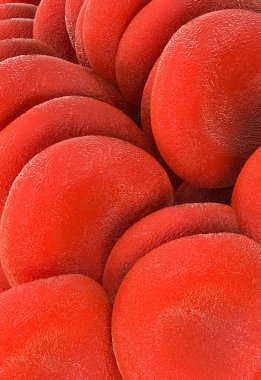 Kırmızı kan hücrelerine yakın çekim