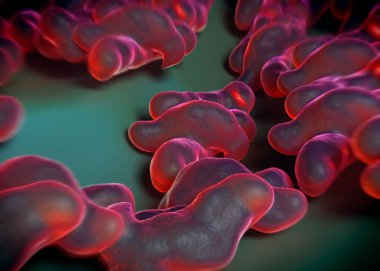 3D görüntüleme - campylobacter jejuni bakterisi