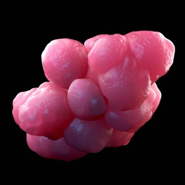 3d illüstrasyon - Pluripotent Kök Hücreler