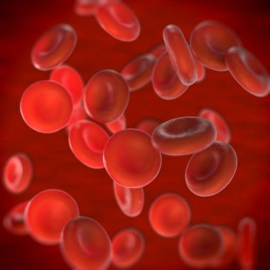 Mikroskobik fotoğrafların kırmızı kan hücreleri çizimi