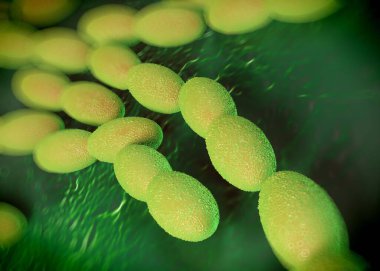 3D görüntüleme - asetobacter bakteri