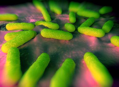 Bakteri hücrelerinin gösterimi