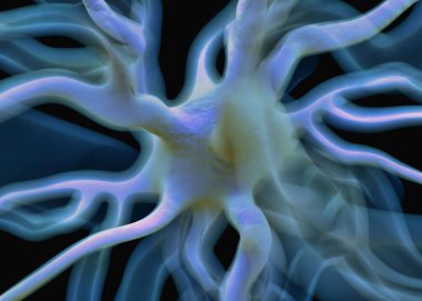 Sinir sisteminin bir kısmını oluşturan nöron veya sinir hücreleri elektriksel ve kimyasal sinyallerle bilgi iletir ve işler..