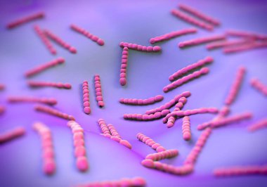 Streptococcus pneumoniae, bakteri sanat