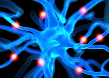 Sinir sisteminin bir kısmını oluşturan nöron veya sinir hücreleri elektriksel ve kimyasal sinyallerle bilgi iletir ve işler..