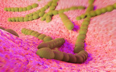 Streptococcus pneumoniae, bakteri sanat