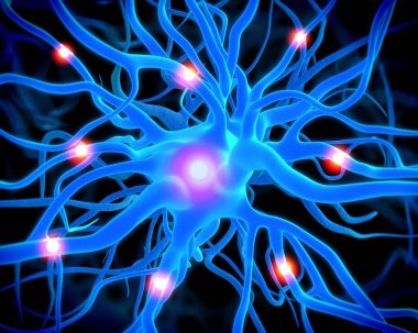 sinir hücreleri ve sinir sistemi kavramı.