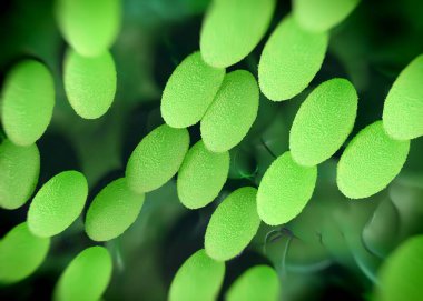 3D görüntüleme - asetobacter bakteri