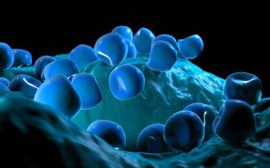  Bilinen Anter ve polen