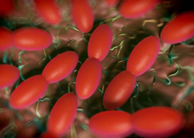 3D görüntüleme - asetobacter bakteri