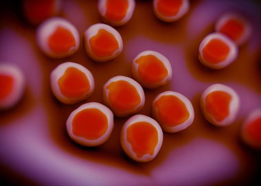 süperböcek veya Staphylococcus aureus (MRSA) bakterisi