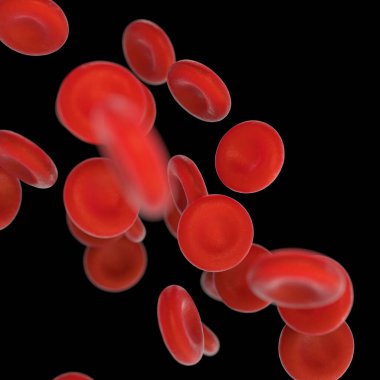 Mikroskobik fotoğrafların kırmızı kan hücreleri çizimi