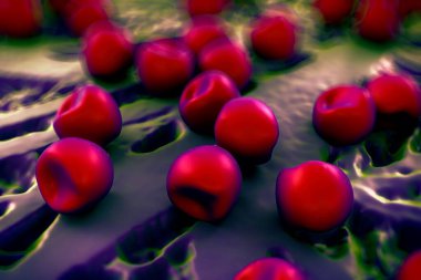 Aconite anter ve polen, bir akonit (Aconitum) çiçeğinden gelen polen tanecikleri. 