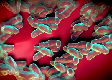 3D görüntüleme - campylobacter jejuni bakterisi