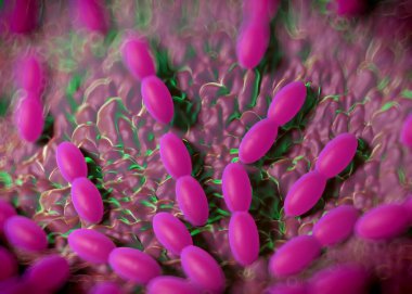 3D görüntüleme - asetobacter bakteri