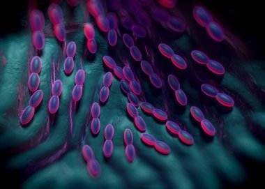 3D görüntüleme - asetobacter bakteri