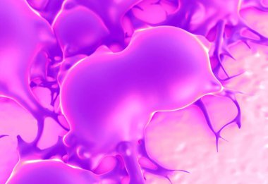 Yağ hücrelerine yakın çekim