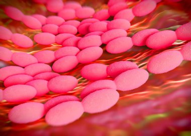 3D görüntüleme - asetobacter bakteri