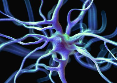 Sinir sisteminin bir kısmını oluşturan nöron veya sinir hücreleri elektriksel ve kimyasal sinyallerle bilgi iletir ve işler..