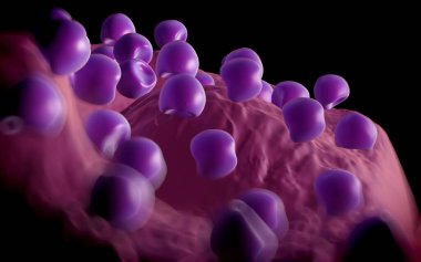 Aconite anter ve polen - 3D görüntüleme