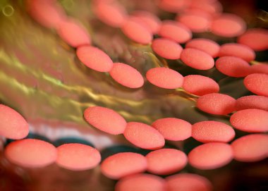 3D görüntüleme - asetobacter bakteri