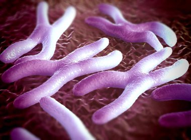 Kromozomlar genetik materyal DNA 'sının bir paketlenmiş halidir.