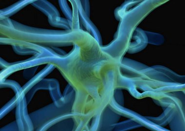 Sinir sisteminin bir kısmını oluşturan nöron veya sinir hücreleri elektriksel ve kimyasal sinyallerle bilgi iletir ve işler..