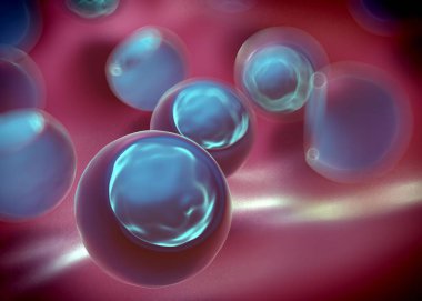 3d oluşturma - bakteri hücreleri