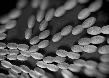 3D görüntüleme - asetobacter bakteri