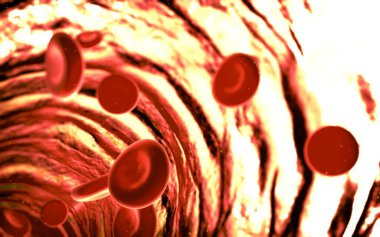 kırmızı kan hücreleri yüksek detay çizimi 