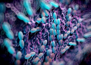 3D görüntüleme - asetobacter bakteri