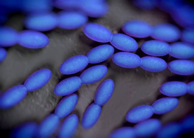 3D görüntüleme - asetobacter bakteri