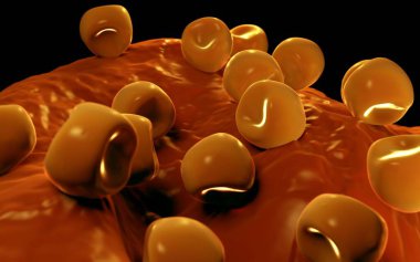  Bilinen Anter ve polen