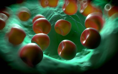 Aconite anter ve polen - 3D görüntüleme