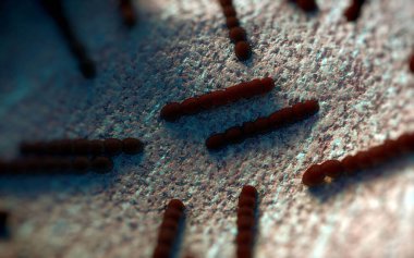 Streptococcus pneumoniae, Gram-pozitif koküs şekilli patojenik bakteridir ve zatürreye ek olarak pnömokok enfeksiyonlarına neden olur. .