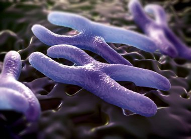 Kromozomlar genetik materyal DNA 'sının bir paketlenmiş halidir.