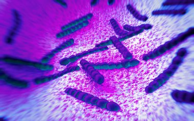 Streptococcus pneumoniae, bakteri sanat