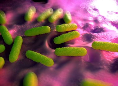 Bakteri hücrelerinin gösterimi