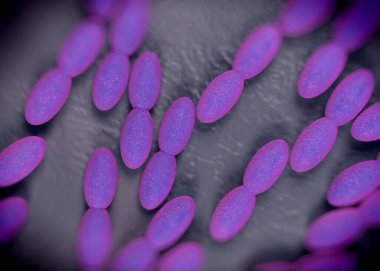 3D görüntüleme - asetobacter bakteri