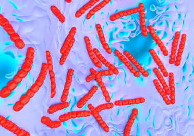 Streptococcus pneumoniae, bakteri sanat